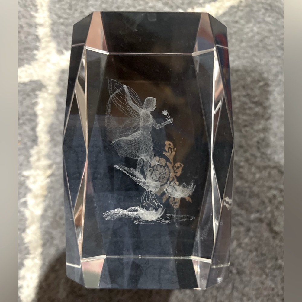 Fairy Dragonfly Flower 3D Laser Etched Glass Crystal Art Vintage